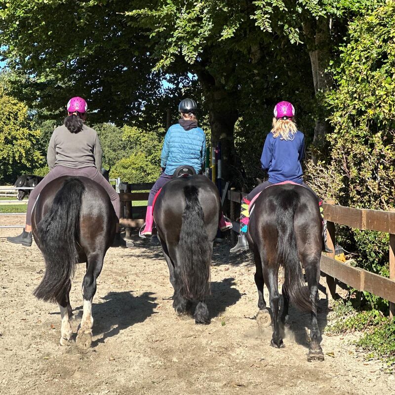 Drei Mädels reiten