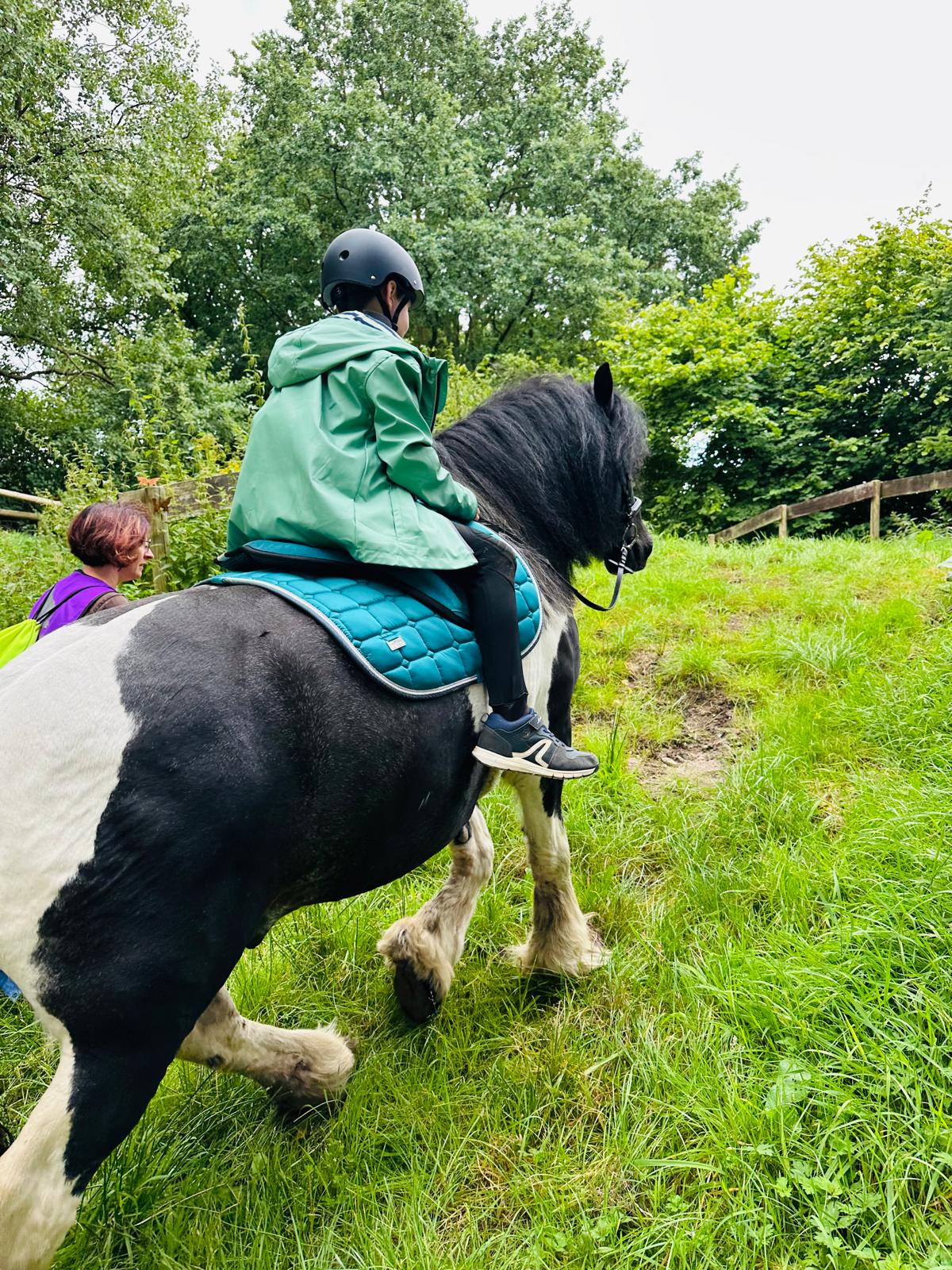 Jon auf der Hügelwiese