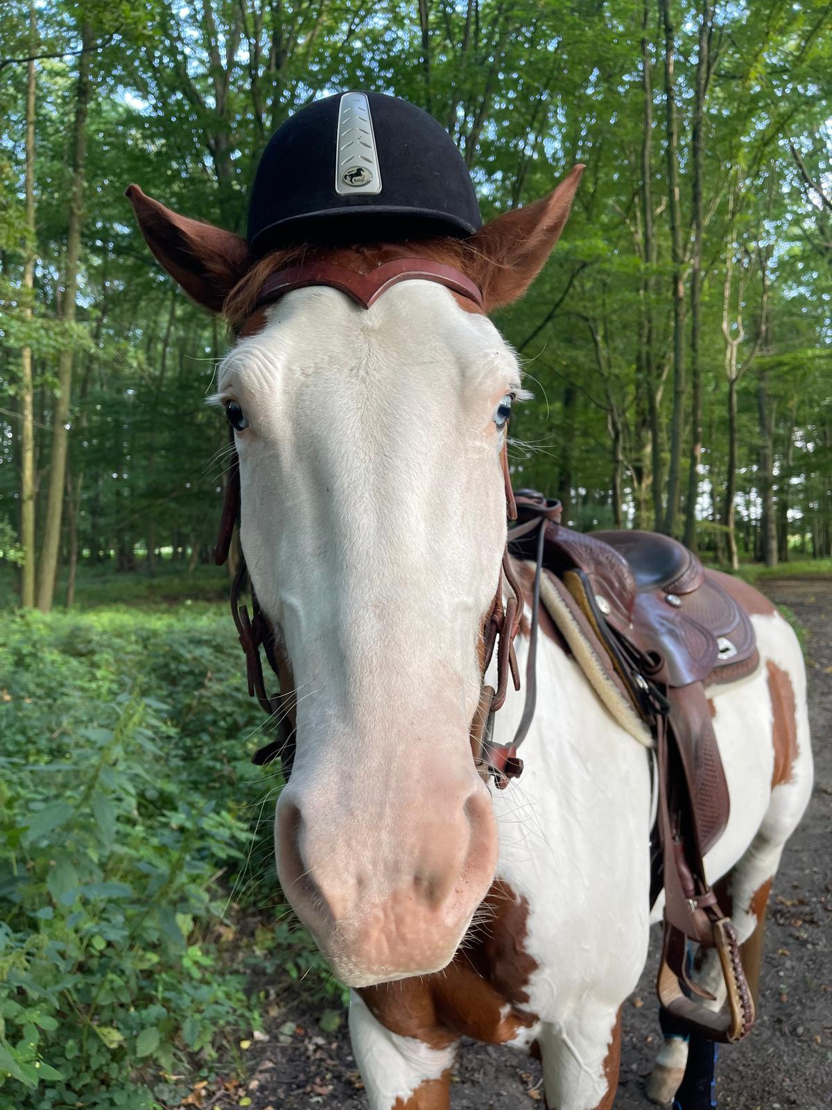 Kind mit Helm auf Olaf