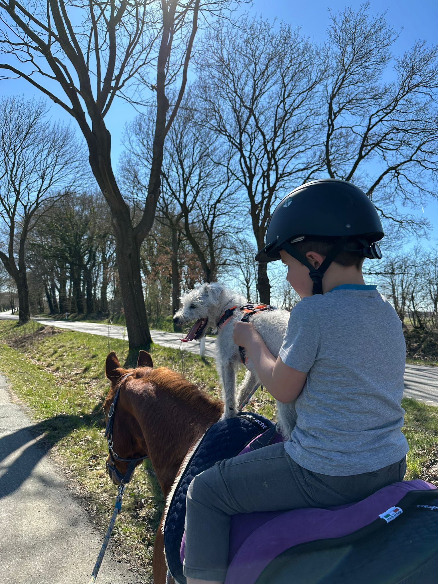 Reiten mit Hund