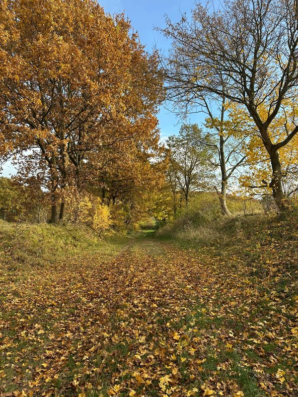 Barbaraweg im Herbst